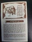 Very Rare 1971 Collectible Kellogg s 3-d  indian Life On The Plains  Card  16