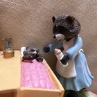 Hallmark Tender Touches Raccoon Baby Brings New Love To Your Heart 1988 Ed Seale