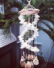 Beautiful Spiral Sea Shell  Wind Chime -37 Inch
