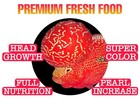 1 Bag 100 Gr Premium Fresh Feed Flowerhorn-head Growth   Color -fish Food 3 52oz