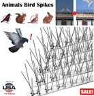 4   Bird Spikes For Small Birds Pigeons 10 Feet  12strips Anti Bird Fence Spike