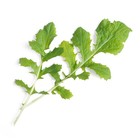 Veritable Lingot Namnia Organic