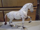 Breyerfest 2021 Sr  sorry  Not Sorry   Glossy  Leopard Appaloosa  Salinero Mold
