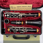 Yamaha Ycl-252 Clarinet With Hard Case Fast Ship From Japan Vintage