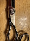 Above Professional Swivel Shears 6 75        Great Condition