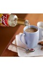Torani Coffee Sugar Free Syrup Variety Pack Of 4 W  Dispensers 25 4oz