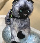 Douglas Cuddle Toy Tasha Siamese Himalayan Cat Plush Essa 12    Stuffed Animal 