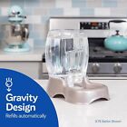 3 Gallon Dog Cat Pet Automatic Water Dispenser Drinking Fountain Large Bowl Dish