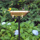 Good Directions Polished Copper Splish-splash Tub Bird Bath W garden Pole