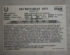 1991 Horse Star Kentucky Derby - Secretariat 1973  99