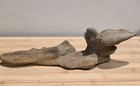 Sandstone Artifact Or Ancient Tool Or Psuedomorph  Or A Carving  Recently Found 