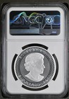 2019 Modified Proof Canada 1 Oz Silver Maple Leaf  5 Ngc Pf-70 Pride Two Nations