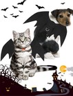 Halloween Dog Bat Wings Costume Felt Pet Cape For Cats Small Dogs Party Dress Up
