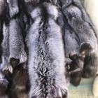 Tanned Silver Fox Skin Fur Pelts Soft Dense Real Leather Hides 39-47 Inch