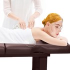 Heavy Duty Massage Table Adjustable Facial Bed Salon Spa And Beauty Bed Brown