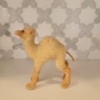 Steiff Mohair Camel Vintage No Tags 6  1950s