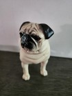 Beswick Ch Cupie Pug Dog Figurine England Fawn Pug Vintage 