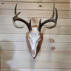 Arrowhead Deer Skull Plaque Cherry Hardwood