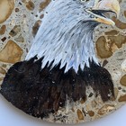 Bald Eagle 6    Original Native American Painting On Stone Signed Fallen Feathers