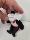 Ty Halloweenie Beanie Baby Van Pyre The Bear 4  11cm Mwmts Halloween Dracula New