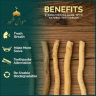Natural Miswak Sticks 3 Pack With Holder Organic Peelu Toothbrush Vacuum Sealed