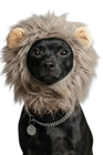 Realistic Lion Mane Pet Hat   Funny Dog Cat Halloween Costume Hood