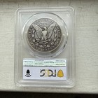 1889-cc Morgan Dollar Pcgs Vf25 Gold Shield 350 000 Minted King Of The Cc   s