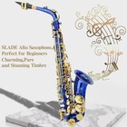 New Slade E Flat Blue Alto Sax Brass Body With Abalone Shell For Beginners