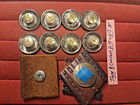 8 Genuine Old Buffalo Indian Head Nickel -screw Back Concho Buttons Domed Coins