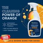 Orange Pet Odor Eliminator And Stain Cleaner For Cats And Dogs  32 Fl Oz 