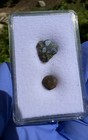 Meteorite  Denader 004 Weight- 2 724 Grams  Beautiful Cb 