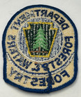 Vintage Pennsylvania Department Forests   Water Forestry 3 5  Patch Unused