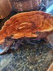 Stunning Small Countertop Burl Wood Table Often Used For Bonsai Display