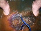 Ionic Balancer Express Detox Spa -  8 Amps  Not 3 Amps Like Knockoffs