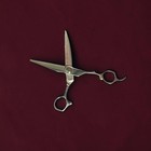 Blunt Cut Hair Cutting Shears Scissors 6 0  Jet Black Titanium Vg10 Rh