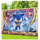 Sonic Hedgehog Birthday Party Banner  5x3     dlt5 