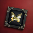 Gift For Mom Taxidermy Wall Decor Real Framed Butterfly Dried Insects Collection