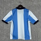 Vintage Y2k Nike Team  Embroidered Swoosh Powder Blue White Stripe Soccer Jersey