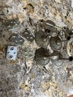 Vtg 1968 Amerock Carriage House Bathroom Set Antique Brass Towel Ring Robe Hooks