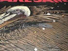 Pearl Jam Poster Ohana 2024 Beckett Ap Gold Variant Signed   90 Free Shipping 