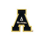 Desert Cactus Appalachian State University Lapel Pin App Mountaineers Made Of   