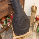 Roosebeck Padded Gig Bag For Descant Lute - New