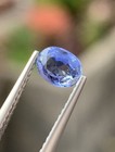 0 74 Cts Natural Blue Sapphire  Oval Shape  Gemstones Loose