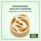 Wild Harvest Bake Shop Pastry Swirls Treat For Rabbits  Guinea Pigs  Chinchillas