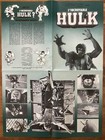 Lou Ferrigno Is The Incredible Hulk Orig Bill Bixby Theatrical Release Poster