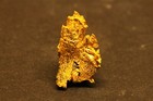 Gold Specimen Crystallized Gold  0 5 Gram  Round Mtn  Mine  Nye Co  Nv