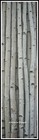 4 Thick White Birch Poles 7 