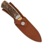 9  Gil Hibben Special Edition Stag Hunting Fixed Blade Knife With Sheath