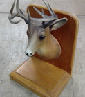 Vintage Plastic Deer Head Mount Miniature Outdoor Cabin Rustic Bookend