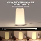 Rootro Touch Bedside Table Lamp   sleek Design   Rgb Mode  3  Assorted Colors 